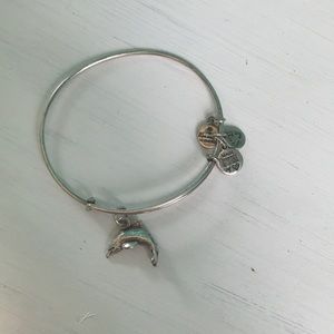 Alex and Ani silver dolphin bracelet!